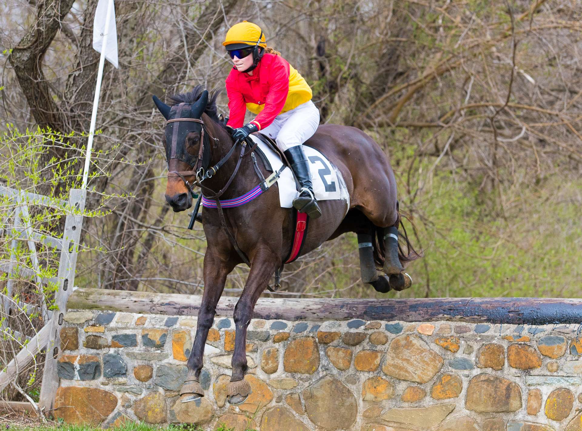 Brandywine Point to Point